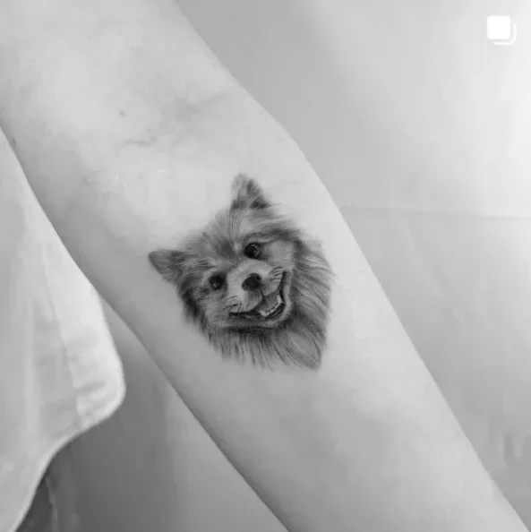 dax.tattoos, guest artist at True Canvas Vienna – Realism – Black & Grey