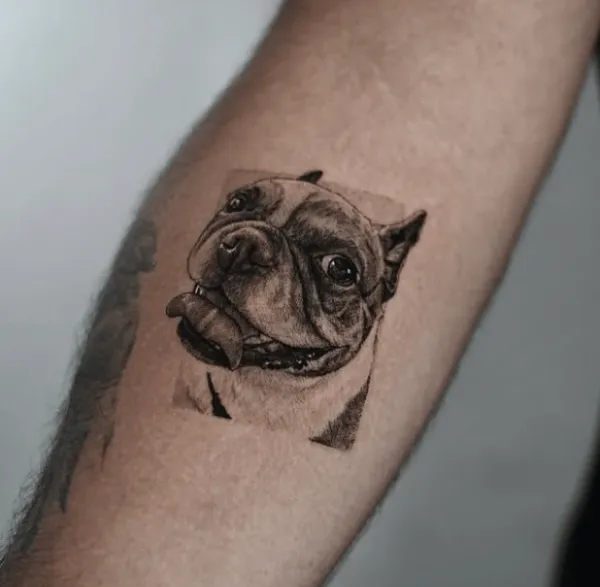 dog.ink, guest artist at True Canvas Vienna – Realism – Black & Grey