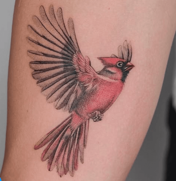 kaplan.tattooing